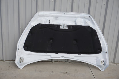 2012 - 2018 Ford Focus Se Hood Cowl