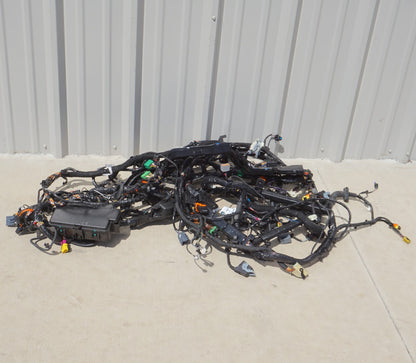 2021 - 2023 Polestar 2 Body Wire Harness Loom OEM