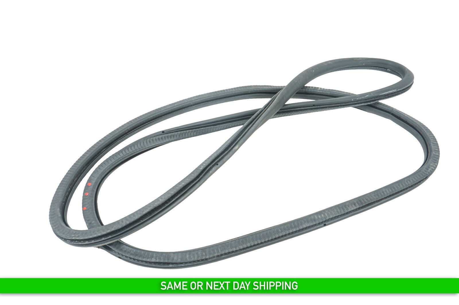 10 - 16 PORSCHE PANAMERA REAR LEFT DRIVER SIDE DOOR WEATHERSTRIP SEAL OEM