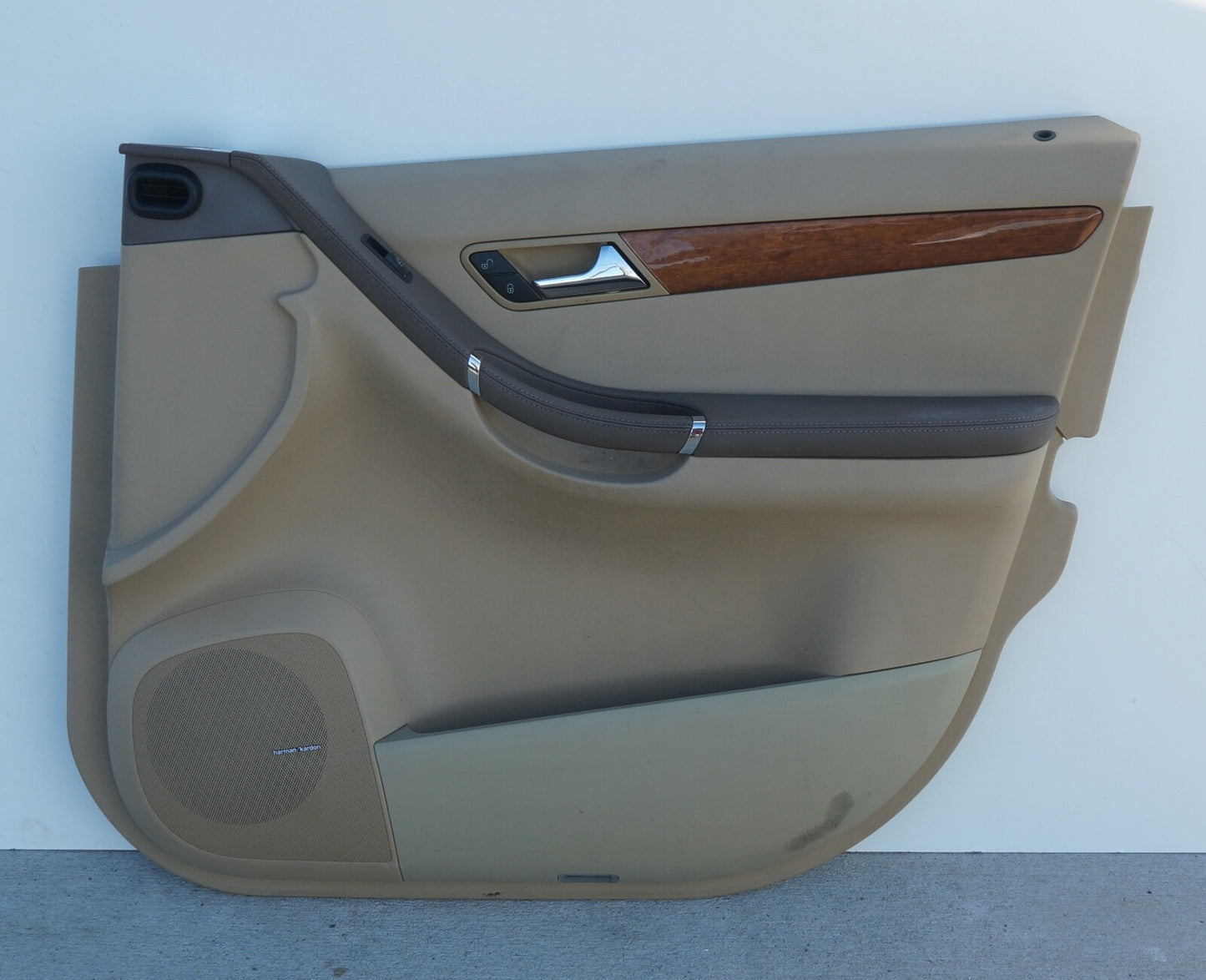06-10 Mercedes W251 R350 R500 Front Right Side Interior Door Panel OEM