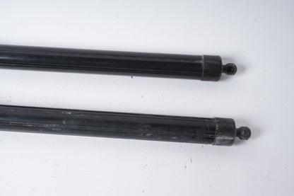 2011-2014 Porsche Cayenne 958 Trunk Lid Shock Lift Support Strut SET OEM