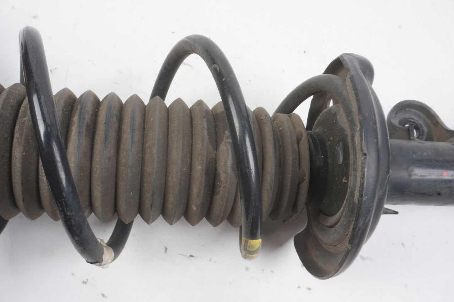 2016 - 2019 Jeep Renegade Rear Left Shock Coil OEM
