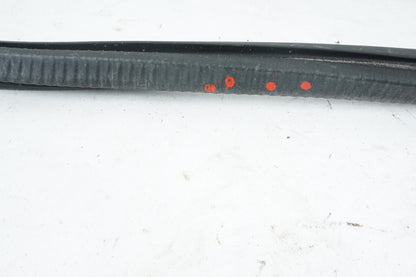 10 - 16 PORSCHE PANAMERA REAR RIGHT PASSENGER SIDE DOOR WEATHERSTRIP SEAL OEM