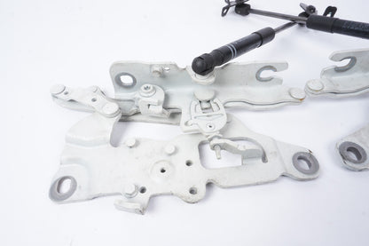 2012 - 2018 BMW 650i 640i Hood Hinge Left & Right OEM