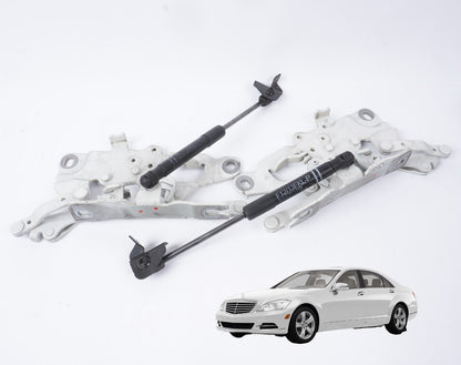 2012 - 2018 BMW 650i 640i Hood Hinge Left & Right OEM