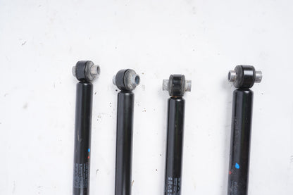 07-13 Mercedes W221 S550 S63 AMG Door Hinge Shock Strut Set Of 4 OEM