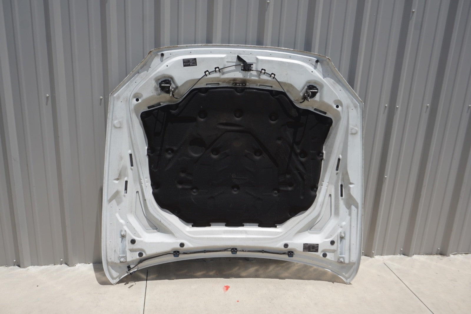 2013-19 OEM BMW F12 F13 F06 640 650 M6 Hood Bonnet Panel Shell