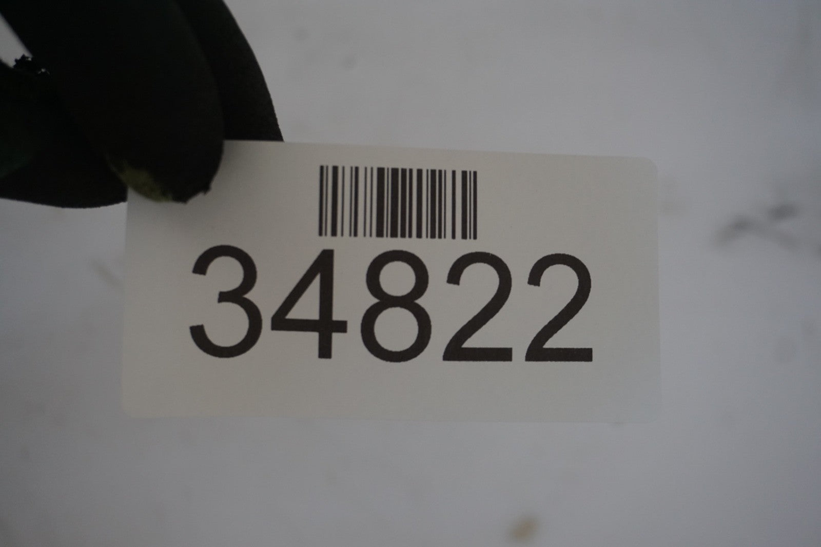 2018 - 2022 BMW X2 F39 TAILGATE LIFTGATE BACK DOOR SHELL PANEL OEM