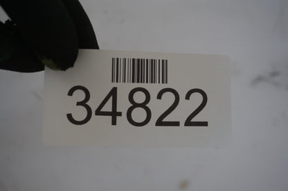 2018 - 2022 BMW X2 F39 TAILGATE LIFTGATE BACK DOOR SHELL PANEL OEM