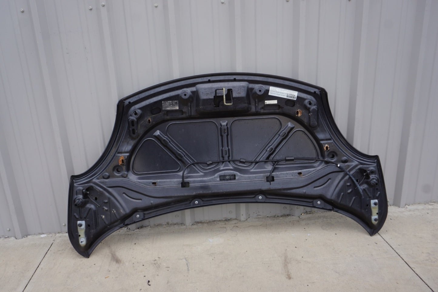 2014 - 2017 Fiat 500L Hood Bonnet OEM