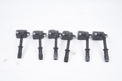 11-20 Mercedes W278 S550 E550 CL550 Engine Ignition Coil Set of 6 Pieces