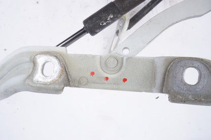 2007 - 2012 BMW E90 335i 328i COUPE TRUNK HINGE LEFT RIGHT SET PAIR