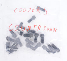 11 - 16 Mini Cooper Countryman Wheel Lug Bolt Set Of 20 OEM