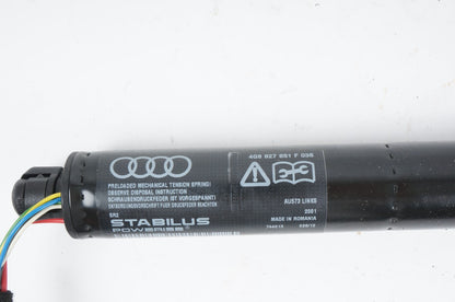 2012 - 2017 AUDI A7 S7 REAR LEFT LH DRIVER SIDE HATCH TRUNK SUPPORT STRUT OEM
