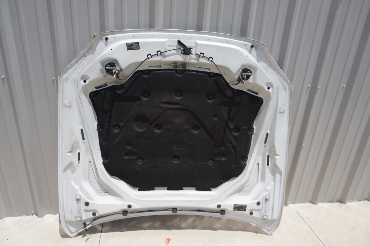 2013-19 OEM BMW F12 F13 F06 640 650 M6 Hood Bonnet Panel Shell