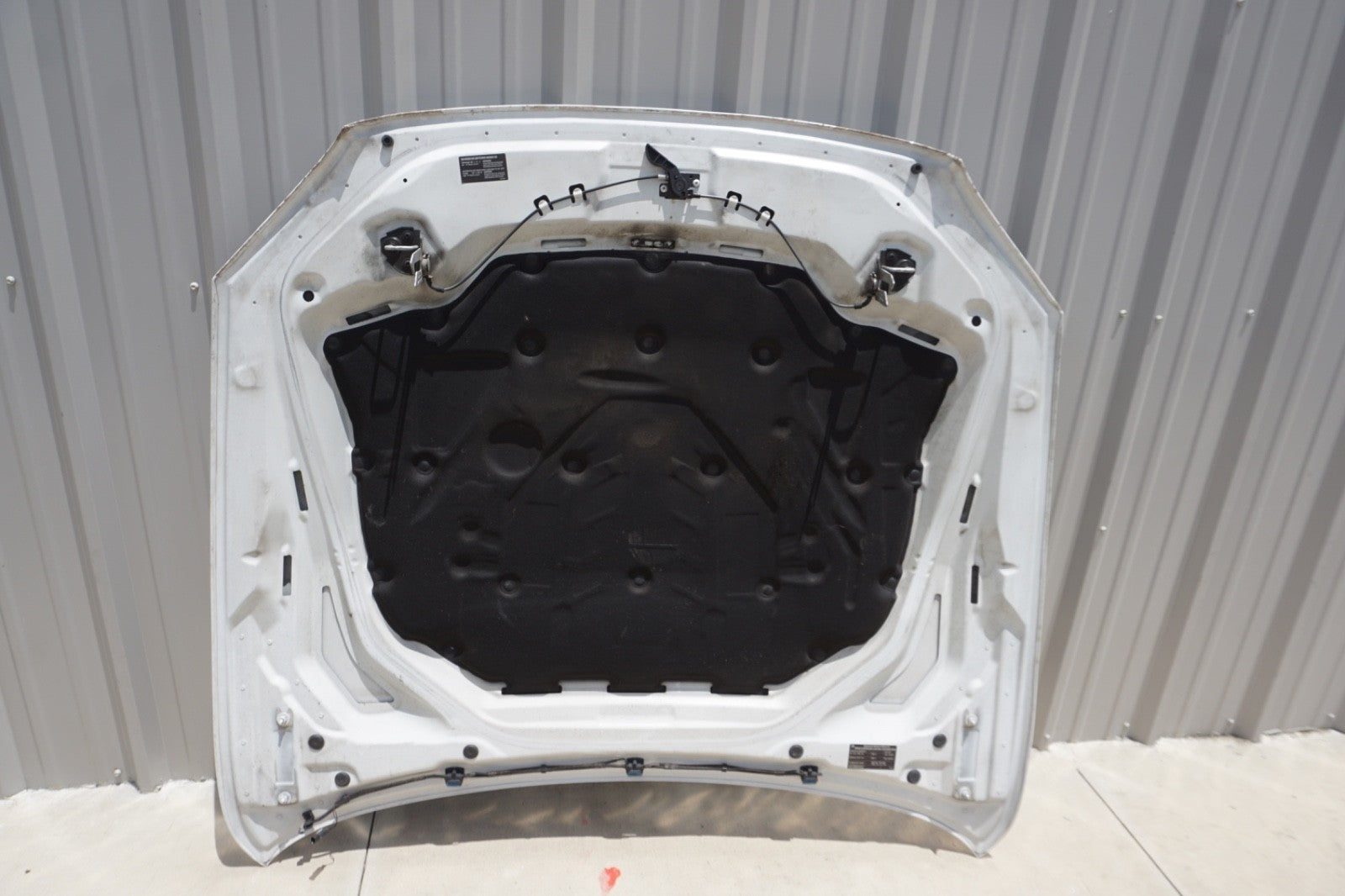 2013-19 OEM BMW F12 F13 F06 640 650 M6 Hood Bonnet Panel Shell