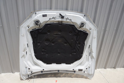 2013-19 OEM BMW F12 F13 F06 640 650 M6 Hood Bonnet Panel Shell