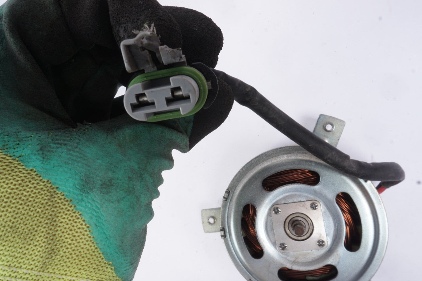 15-18 Ford Focus 1.0L Cooling Fan Motor  OEM CV6Z8C607L