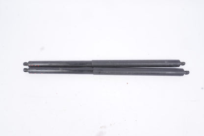 2006 - 2013 Volvo C70 Set Tailgate trunk strut damper 30787852