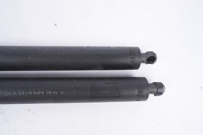 2006 - 2013 Volvo C70 Set Tailgate trunk strut damper 30787852