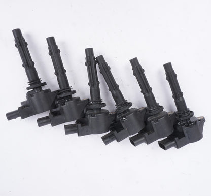 2005 - 2013 Mercedes Benz W221 S400 E350 Slk350 M272 Ignition Coil Set Of 6 OEM