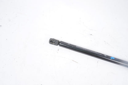2005 - 2011 Audi A6 Hood Lift Supports Gas Strut 4F0823359B OEM