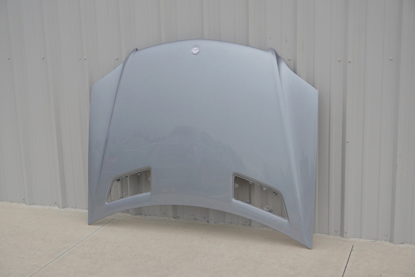 06-11 Mercedes W164 ML63 AMG ML350 ML320 ML500 Hood Panel Assembly Gray OEM