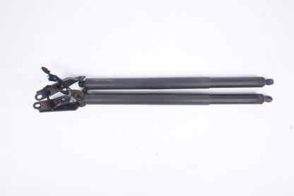 2018-2022 BMW X2 TAILGATE LEFT AND RIGHT POWER LIFT CYLINDER STRUT OEM