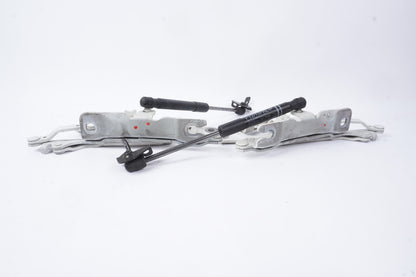 2012 - 2018 BMW 650i 640i Hood Hinge Left & Right OEM