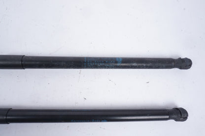 11-20 MINI COOPER COUNTRYMAN R60 REAR TRUNK TAILGATE SHOCK LIFT STRUT SET OEM