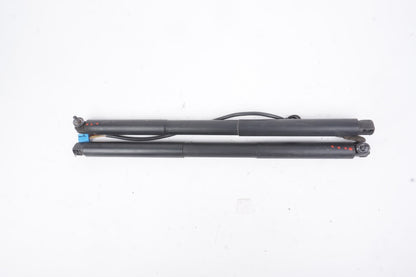 2013 - 2016 Mercedes-Benz GL63 AMG X166 Left And Right Trunk Lid Shock Strut Set