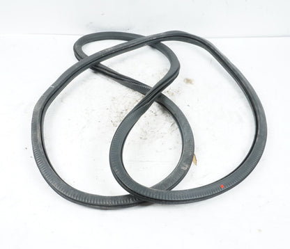 10 - 16 PORSCHE PANAMERA FRONT LEFT DRIVER SIDE DOOR WEATHERSTRIP SEAL OEM