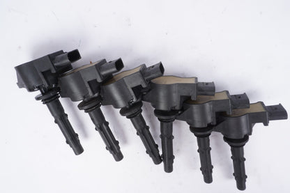 2005 - 2013 Mercedes Benz W221 S400 E350 Slk350 M272 Ignition Coil Set Of 6 OEM