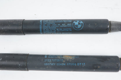 06-10 BMW 650I M6 E64 E63 FRONT HOOD BONNET SHOCK STRUT LIFT CYLINDER SET OEM