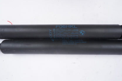 12-19 BMW F06 650i  Rear Right & Left Trunk Liftgate Lid Strut Shock Pair Set