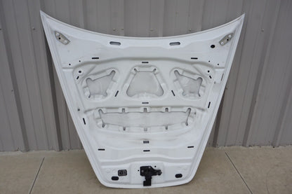 2011 - 2014 PORSCHE CAYENNE - HOOD WHITE