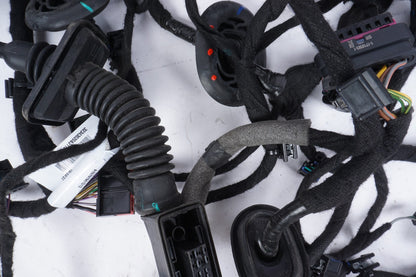 2021-2024 Polestar 2 Door Wire Harness Front & Rear Set Of 4 OEM