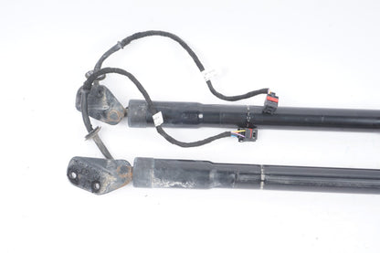 2011-2014 Porsche Cayenne 958 Trunk Lid Shock Lift Support Strut SET OEM
