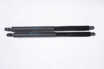 12-19 BMW F06 650i  Rear Right & Left Trunk Liftgate Lid Strut Shock Pair Set