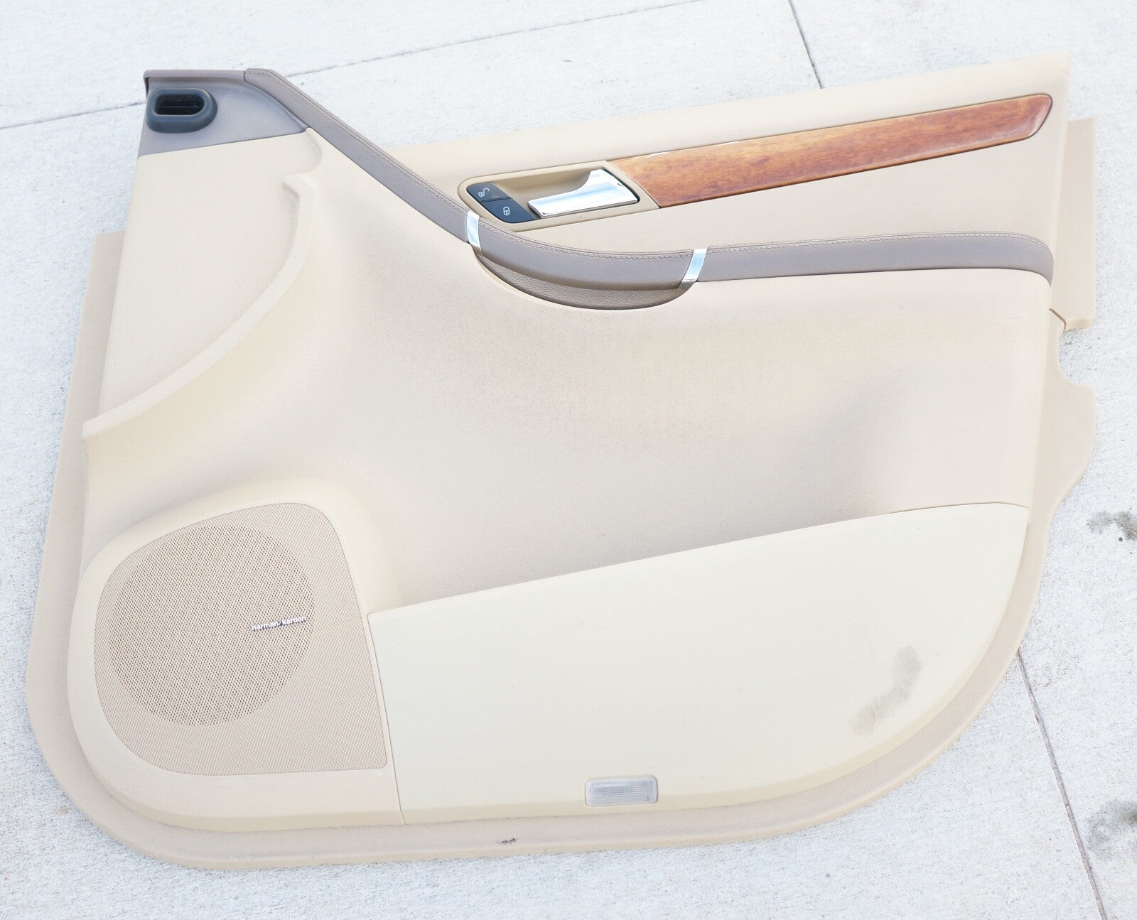06-10 Mercedes W251 R350 R500 Front Right Side Interior Door Panel OEM