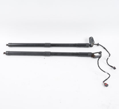 2011-2014 PORSCHE CAYENNE Trunk Tailgate Lift Shock Strut Left & Right  OEM