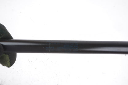 2012-2022 Volkswagen Passat Hood Lift Support 561823359 OEM