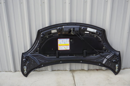 2014 - 2017 Fiat 500L Hood Bonnet OEM