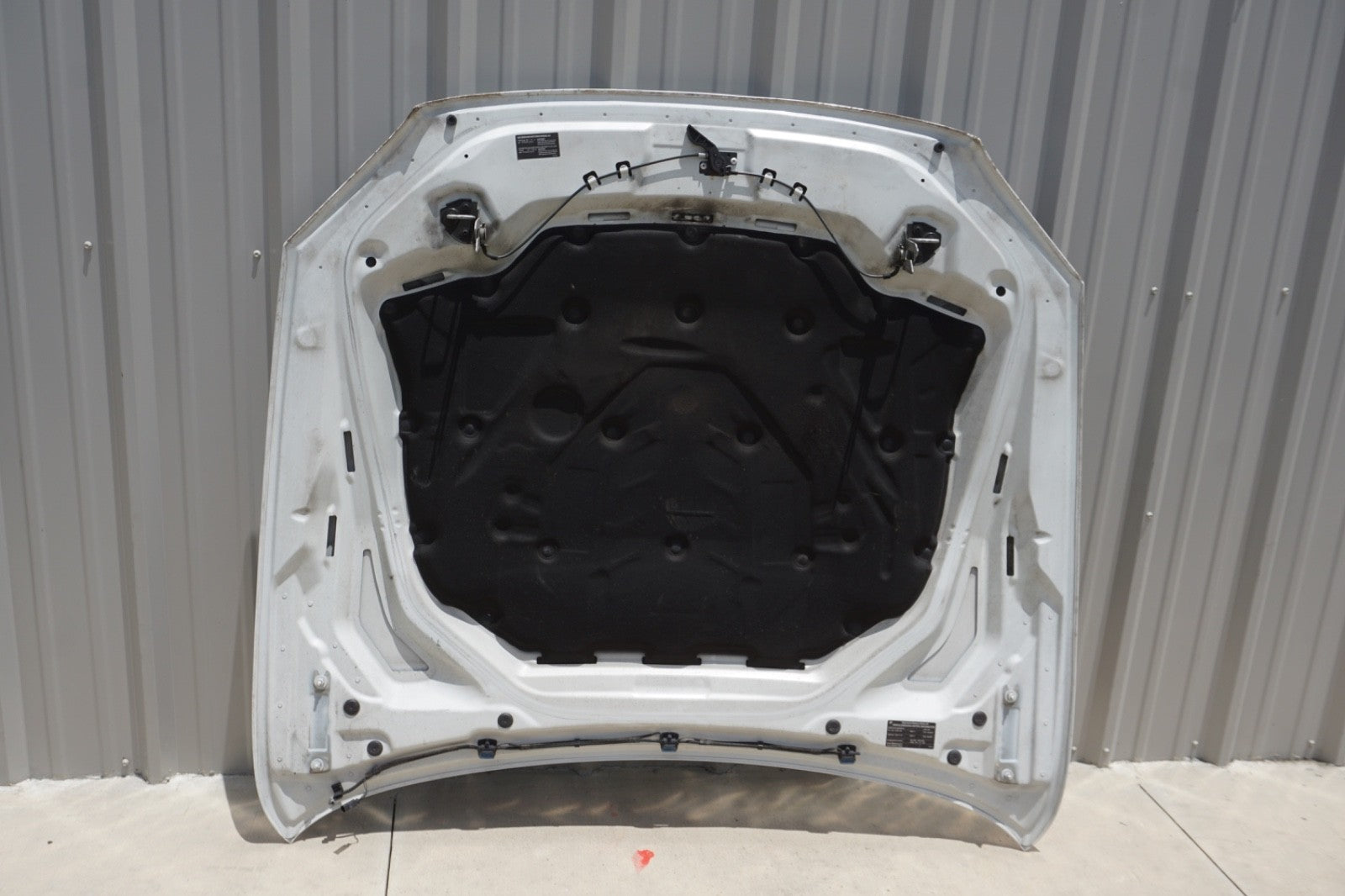 2013-19 OEM BMW F12 F13 F06 640 650 M6 Hood Bonnet Panel Shell