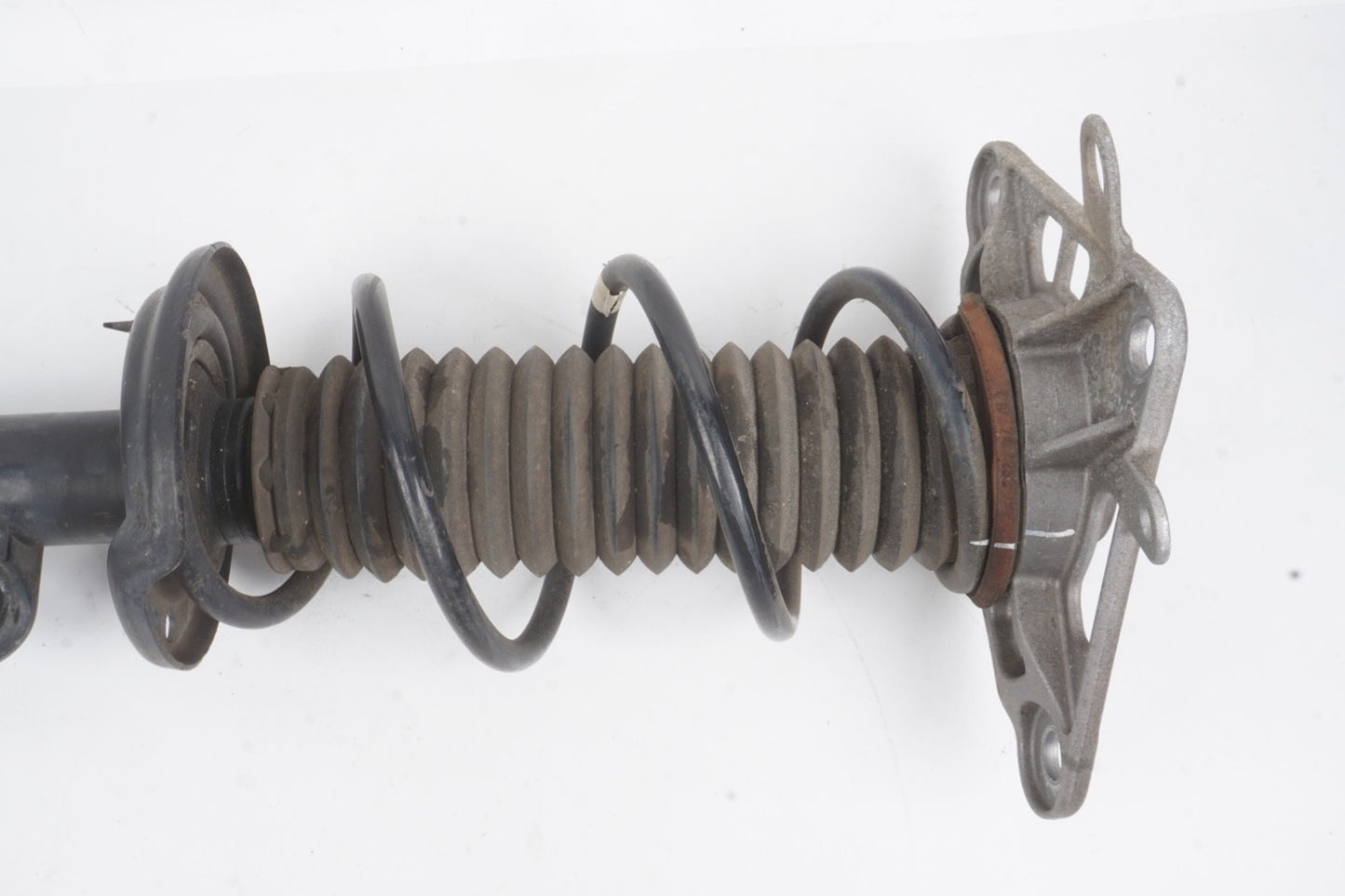 2016 - 2019 Jeep Renegade Rear Left Shock Coil OEM