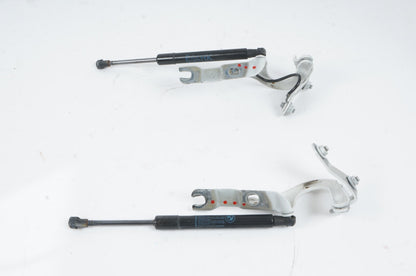 2006 - 2010 BMW 650i E64 OEM REAR TRUNK HINGES 7039773 PAIR