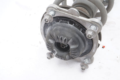 2012 - 2017 Audi A7 Front Shock Absorber Right Passenger Side OEM
