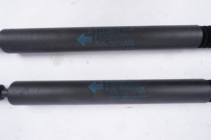 12-19 BMW F06 650i  Rear Right & Left Trunk Liftgate Lid Strut Shock Pair Set