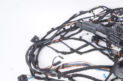 2018 - 2019 BMW X2 F39 FRONT RIGHT PASSENGER SIDE DOOR WIRE WIRING HARNESS OEM