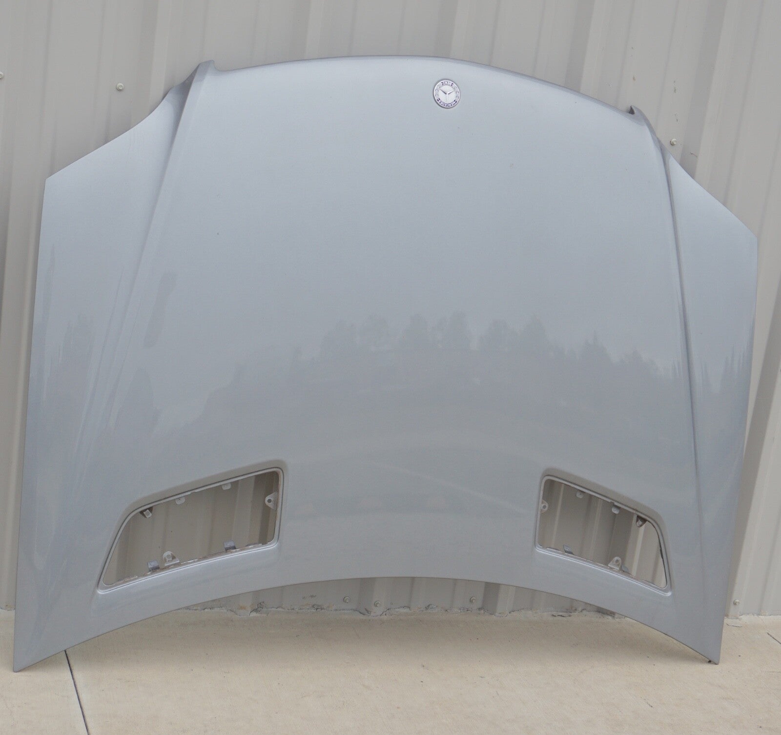 06-11 Mercedes W164 ML63 AMG ML350 ML320 ML500 Hood Panel Assembly Gray OEM